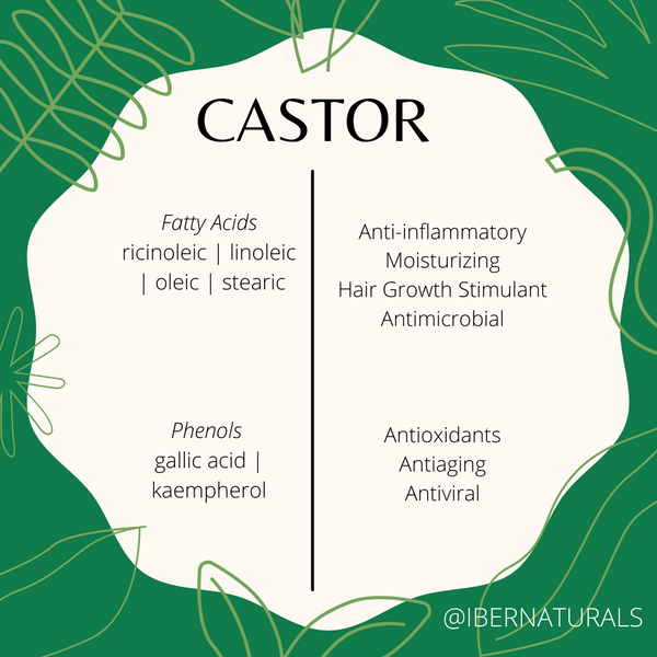 CASTOR | Ingredient Index
