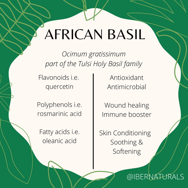 AFRICAN BASIL | Ingredient Index