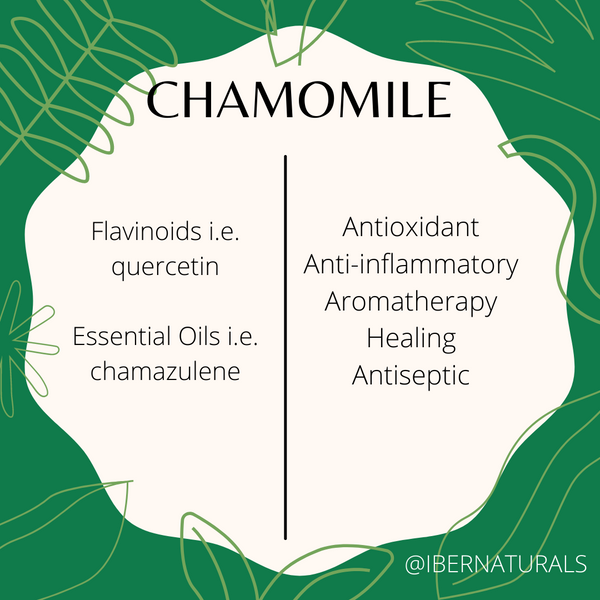 CHAMOMILE | Ingredient Index